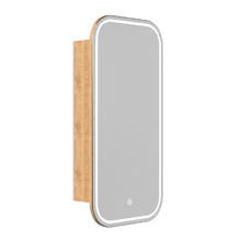 Cali 450mm Wall Hung Small Space Vanity Package with LED Mirror